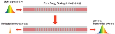 香港澳门资料